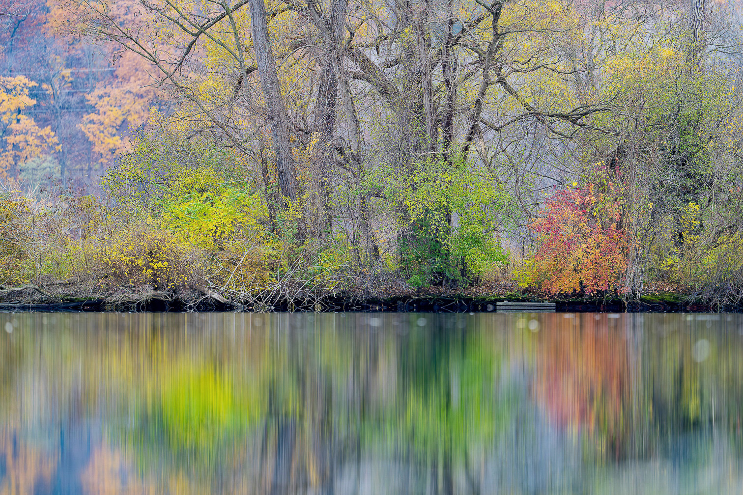 Brilliant Fall